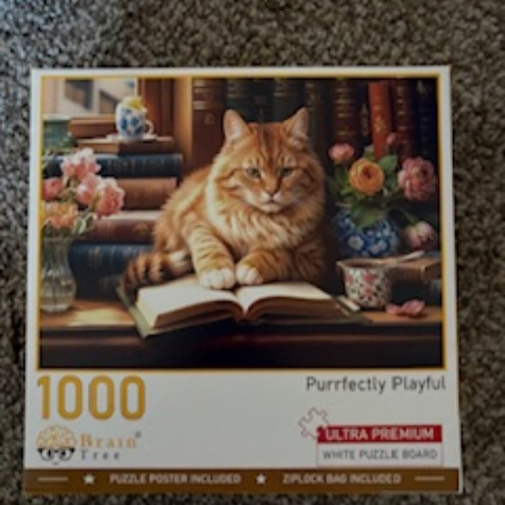 5 Puzzles @bboyd280